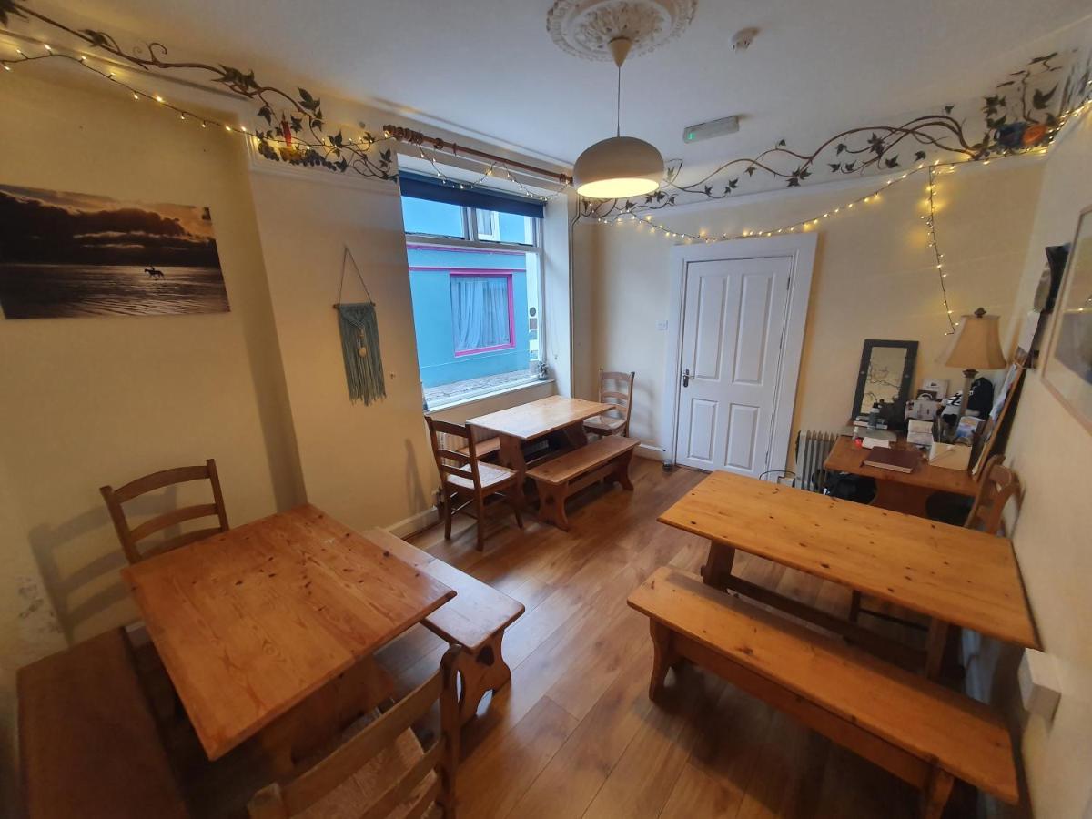The Grapevine Hostel Dingle Dış mekan fotoğraf