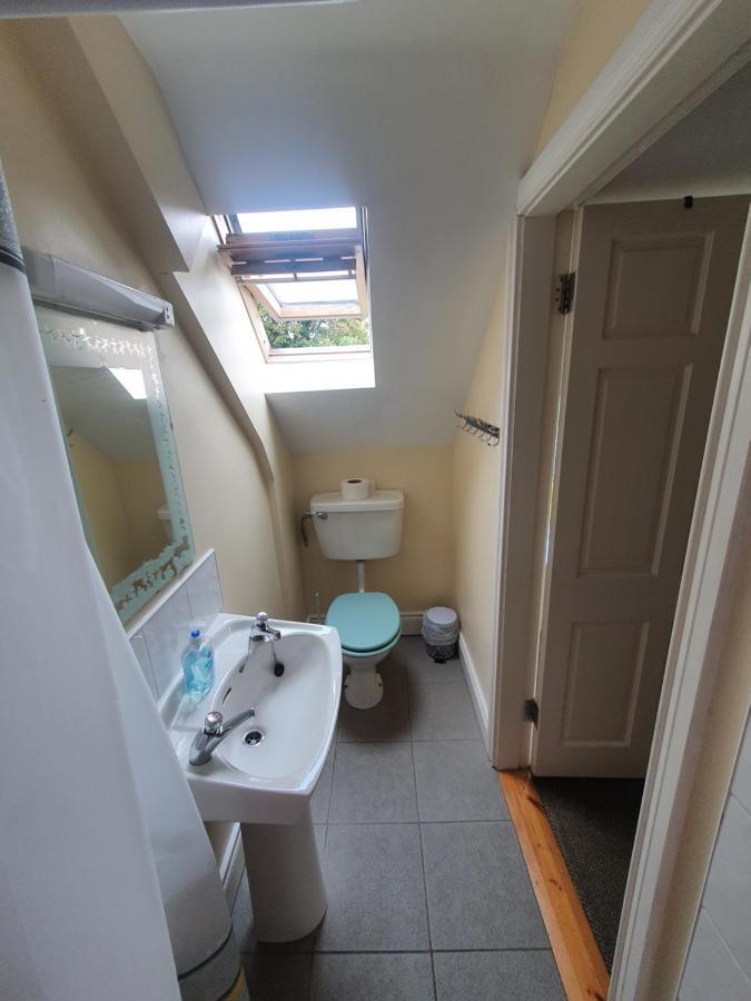 The Grapevine Hostel Dingle Dış mekan fotoğraf