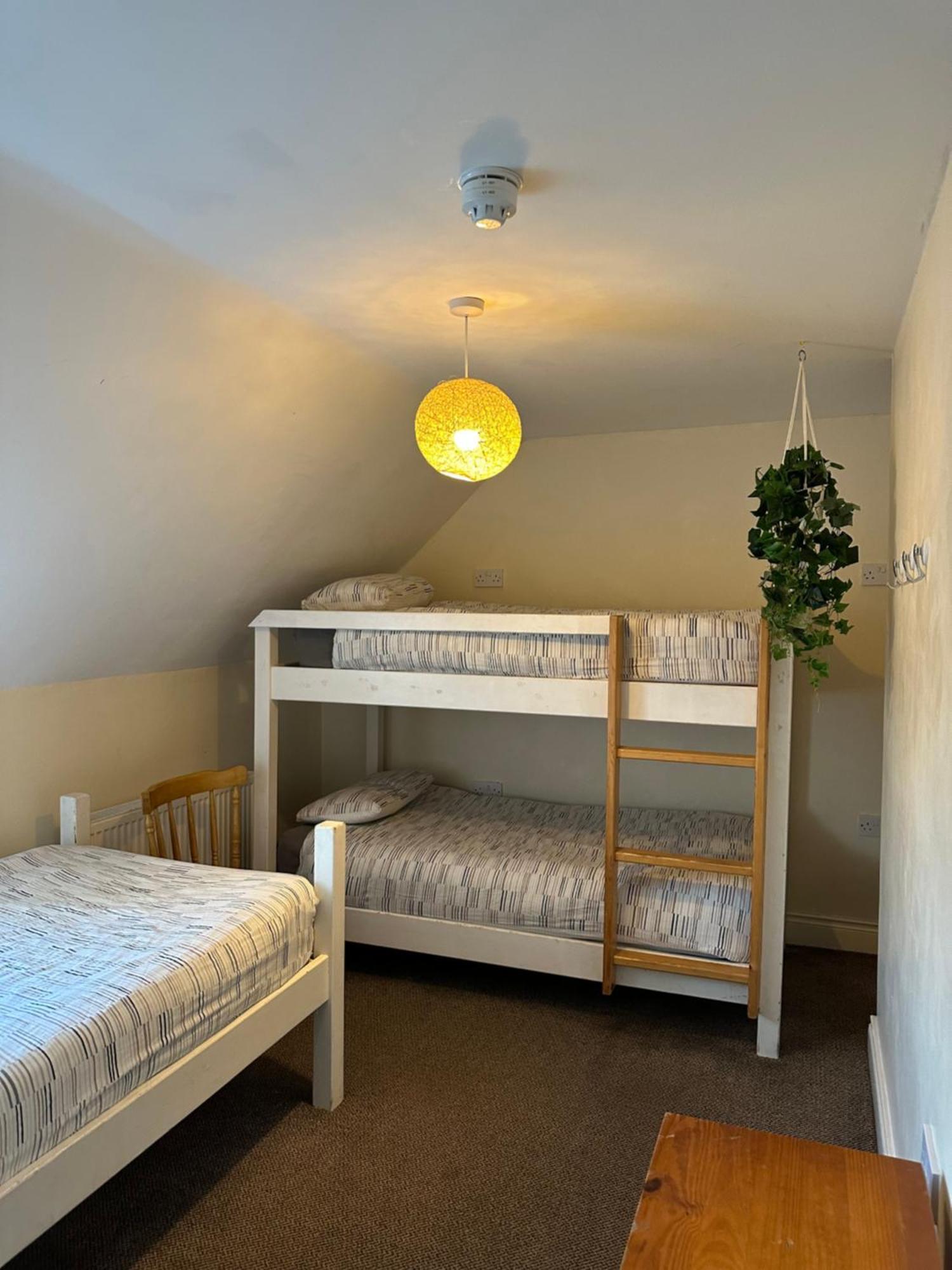 The Grapevine Hostel Dingle Dış mekan fotoğraf